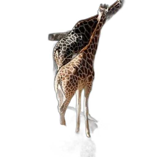 animal, crown, staff, creature, concept art, photorealistic, 3d render, fantasy art transparent PNG cut-out