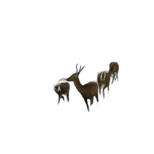 animal, crown, creature, furniture, pixel art, concept art, 3d render, photorealistic transparent PNG cut-out