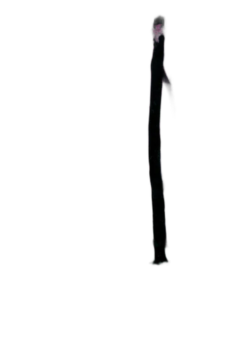 staff, sword, umbrella, weapon transparent PNG cut-out