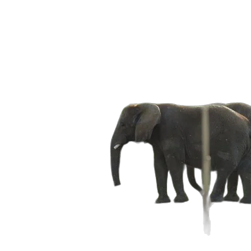 animal, creature, weapon, staff, 3d render, concept art, photorealistic, pixel art transparent PNG cut-out