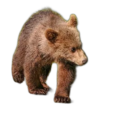 animal, creature, staff, weapon, photorealistic, 3d render, concept art, pixel art transparent PNG cut-out