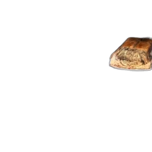 food, furniture, shoes, jacket, 3d render, photorealistic, concept art, watercolor transparent PNG cut-out