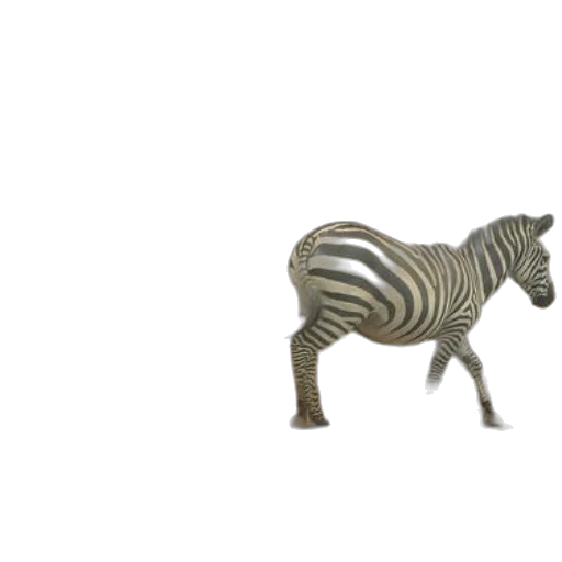 animal, furniture, creature, jewelry, 3d render, concept art, photorealistic, fantasy art transparent PNG cut-out