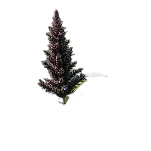 tree, staff, crown, flower transparent PNG cut-out