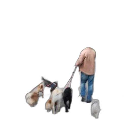 animal, staff, creature, umbrella, pixel art, 3d render, concept art, photorealistic transparent PNG cut-out