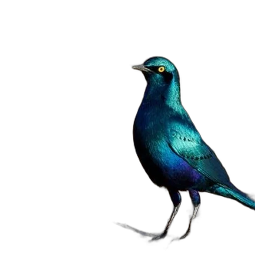 animal, staff, dress, creature, 3d render, concept art, photorealistic, pixel art transparent PNG cut-out