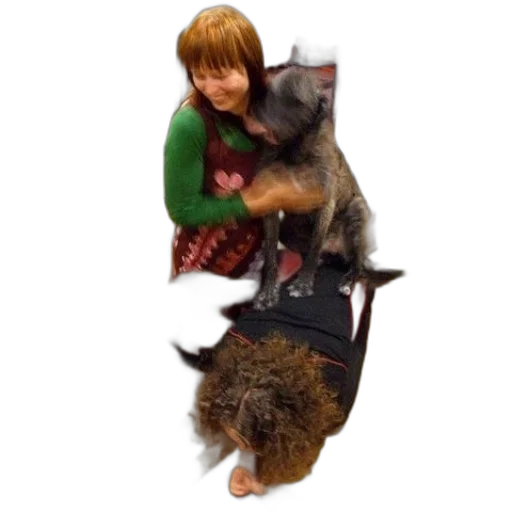 animal, creature, staff, umbrella transparent PNG cut-out