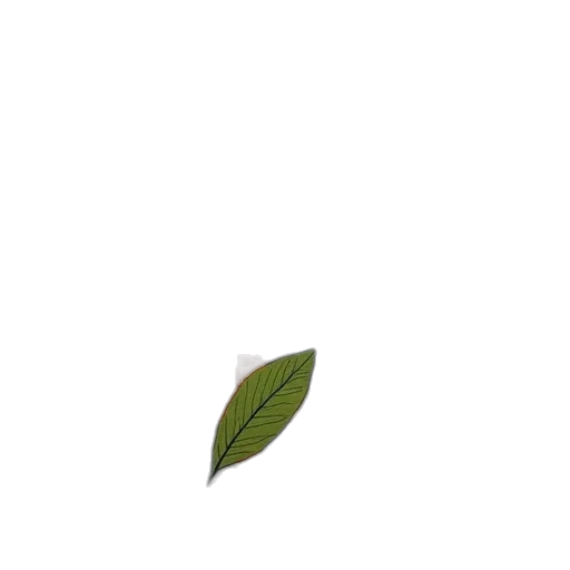 tree, flower, food, staff transparent PNG cut-out