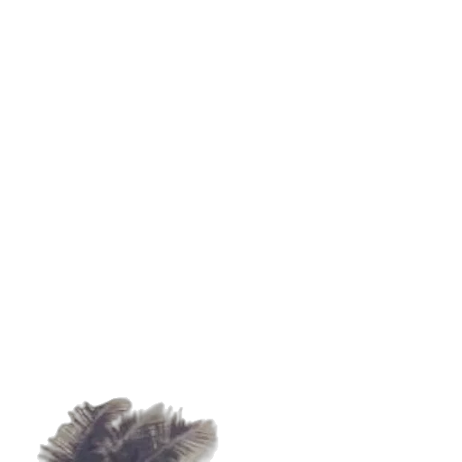 hair, hat, shoes, animal, photorealistic, 3d render, concept art, pixel art transparent PNG cut-out