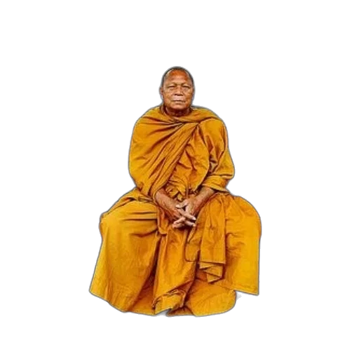 staff, face, animal, umbrella, photorealistic, monk, orange, robes transparent PNG cut-out