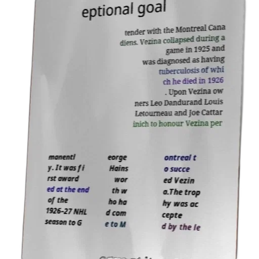 exceptional, goal, tender, montreal, cana, diens, vezina, collapsed transparent PNG cut-out