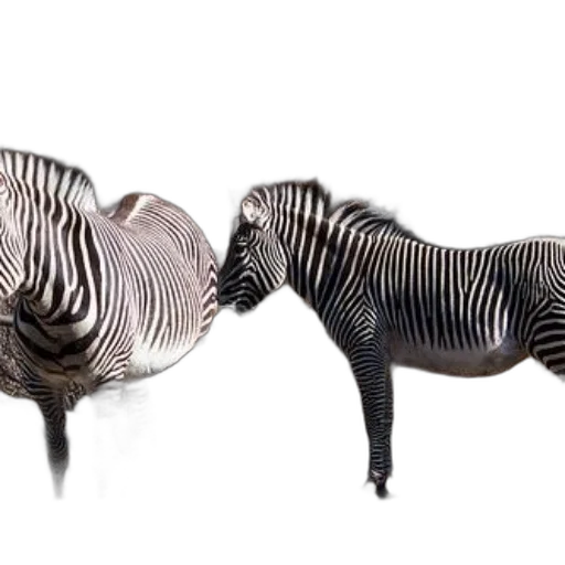 animal, furniture, jewelry, creature, 3d render, photorealistic, concept art, monochrome transparent PNG cut-out