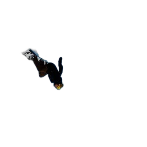 shoes, dragon, pixel art, snowboarder transparent PNG cut-out