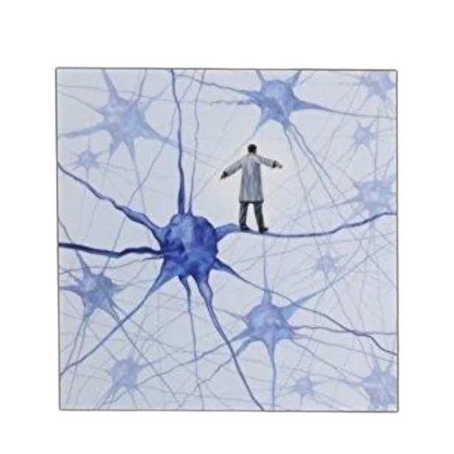 umbrella, jacket, concept art, image, book, cover, titled, young transparent PNG cut-out