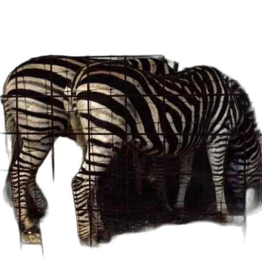 animal, creature, furniture, jacket, photorealistic, concept art, watercolor, oil painting transparent PNG cut-out