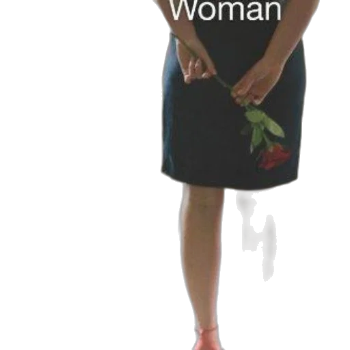 dress, shoes, umbrella, weapon, 3d render, book, cover, title transparent PNG cut-out