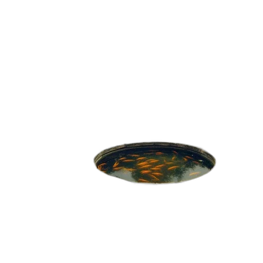 jewelry, crown, hat, food, 3d render, photorealistic, oil painting, underwater transparent PNG cut-out