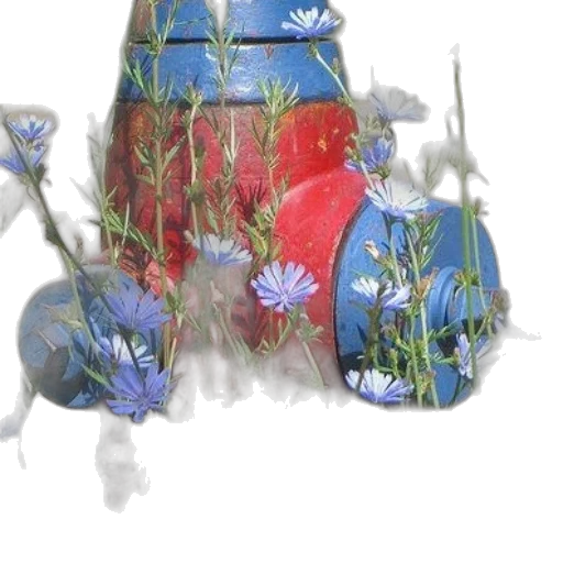 flower, crown, dress, bottle, 3d render, photorealistic, concept art, fantasy art transparent PNG cut-out