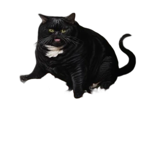 animal, creature, staff, food, photorealistic, 3d render, concept art, pixel art transparent PNG cut-out