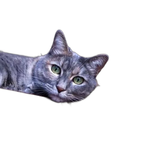 animal, creature, weapon, staff, photorealistic, 3d render, pixel art, concept art transparent PNG cut-out