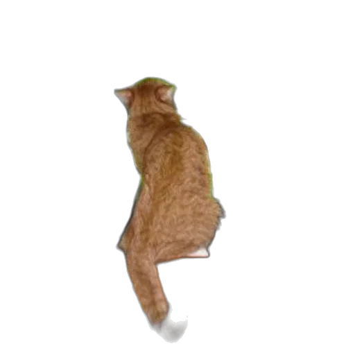 animal, staff, creature, shoes, 3d render, photorealistic, concept art, pixel art transparent PNG cut-out