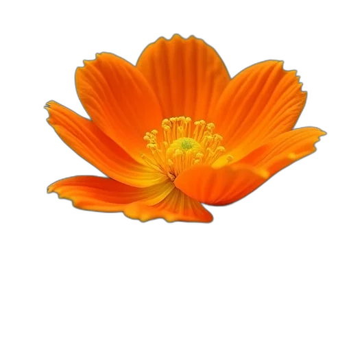 flower, crown, staff, jewelry, photorealistic, 3d render, oil painting, concept art transparent PNG cut-out