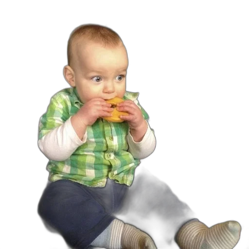 food, face, animal, photorealistic, oil painting, concept art, 3d render, baby transparent PNG cut-out