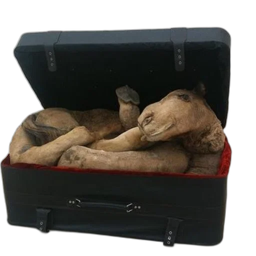 furniture, shoes, mask, staff transparent PNG cut-out