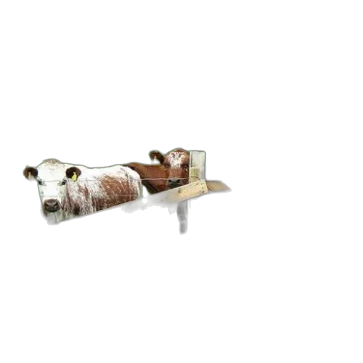 furniture, jewelry, weapon, staff, 3d render, concept art, photorealistic, cows transparent PNG cut-out