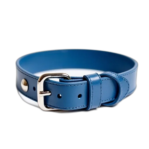 jewelry, blue, dog, collar, silver, buckle, four, rivets transparent PNG cut-out