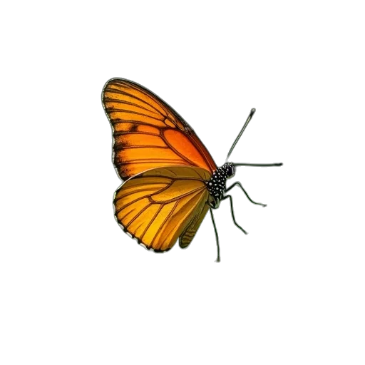 animal, creature, flower, umbrella, 3d render, photorealistic, concept art, pencil sketch transparent PNG cut-out