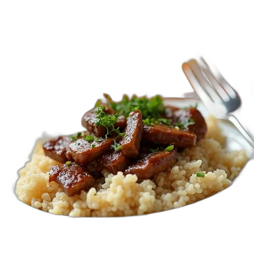 food, close-up, view, plate, portion, meat, rice, appears transparent PNG cut-out