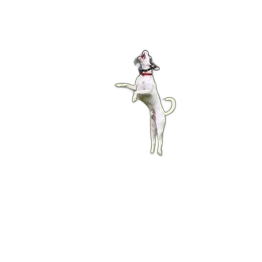 staff, flower, jewelry, animal, 3d render, pixel art, concept art, fantasy art transparent PNG cut-out