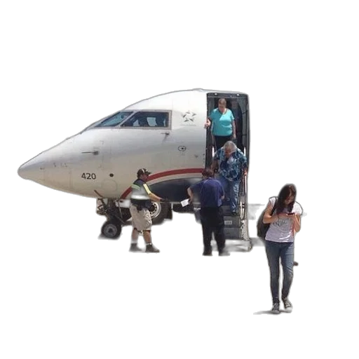staff, animal, weapon, face, 3d render, small, passenger, plane transparent PNG cut-out