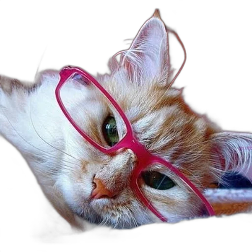 animal, staff, face, jewelry, photorealistic, 3d render, oil painting, fluffy transparent PNG cut-out