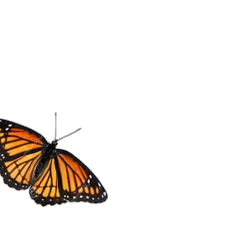 animal, creature, crown, umbrella, concept art, 3d render, pixel art, photorealistic transparent PNG cut-out