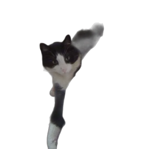 staff, animal, creature, weapon, 3d render, photorealistic, concept art, black transparent PNG cut-out