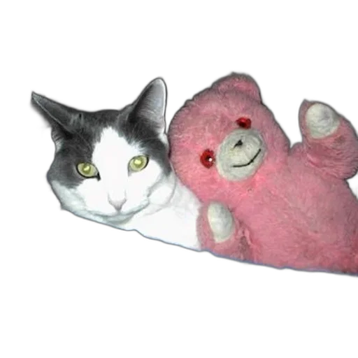 3d render, cat, pink, teddy, bear, sit, together, blue transparent PNG cut-out