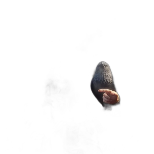 creature, animal, face, hair, photorealistic, concept art, 3d render, pixel art transparent PNG cut-out