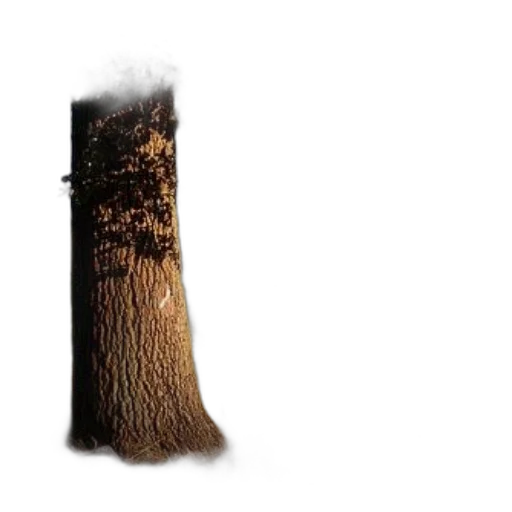 tree, hair, hat, staff, concept art, 3d render, photorealistic, pixel art transparent PNG cut-out