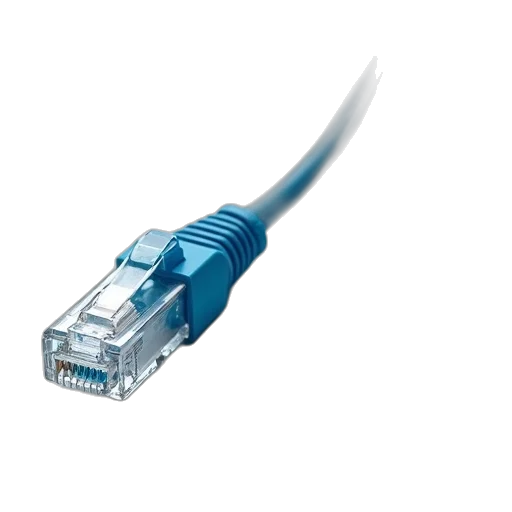 crown, 3d render, pair, rj454, cat5a, utp, patch, cables transparent PNG cut-out