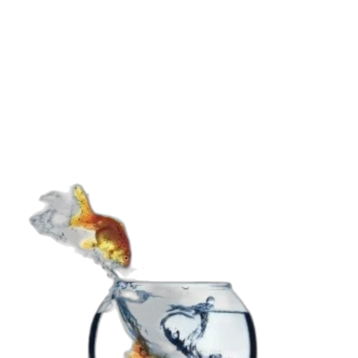 bottle, dragon, crown, animal, 3d render, concept art, photorealistic, underwater transparent PNG cut-out