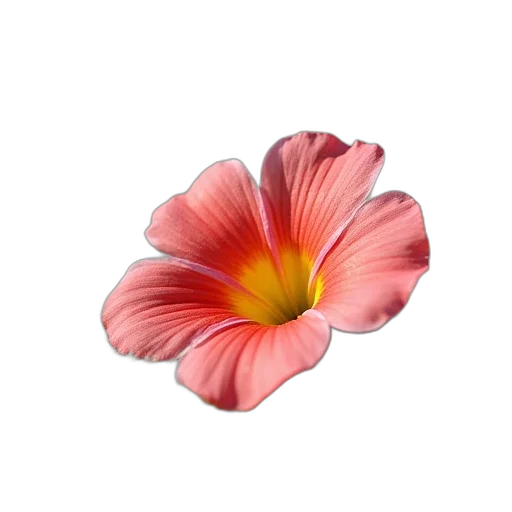 flower, jewelry, crown, staff transparent PNG cut-out