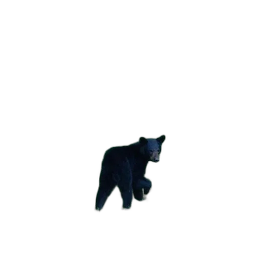 animal, creature, staff, hat, pixel art, concept art, 3d render, vaporwave transparent PNG cut-out