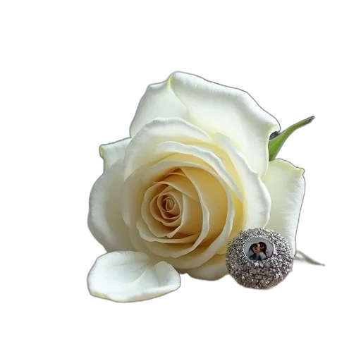 jewelry, flower, crown, staff, photorealistic, 3d render, monochrome, close-up transparent PNG cut-out