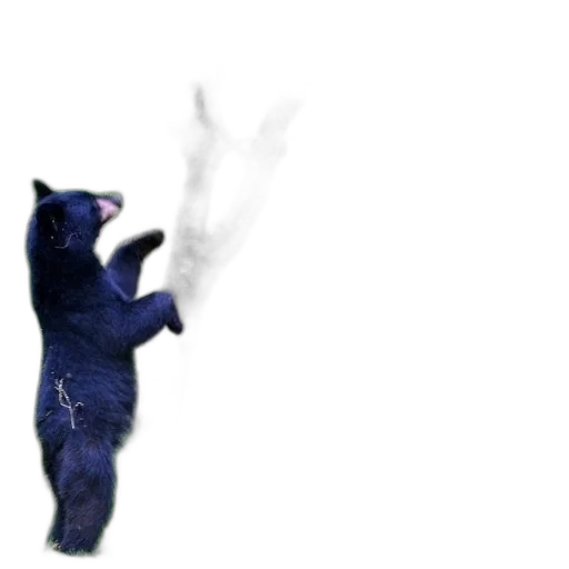 animal, creature, staff, 3d render, concept art, pixel art, outer space, black transparent PNG cut-out