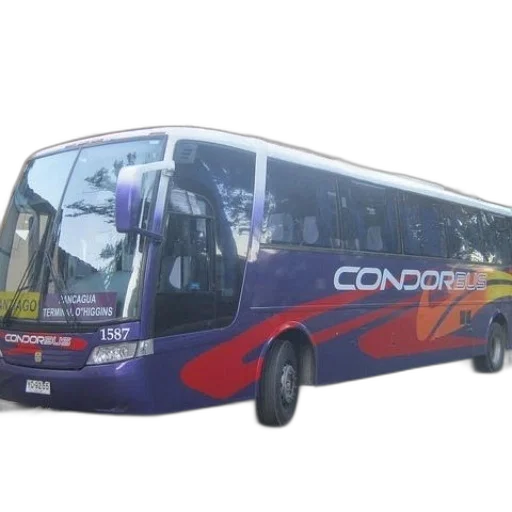 purple, condor, bus, parked, street transparent PNG cut-out
