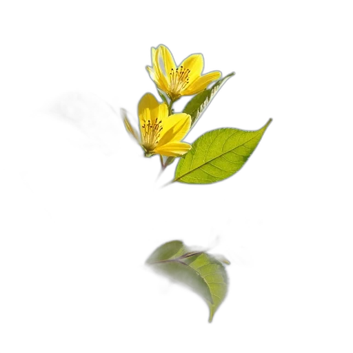 flower, crown, weapon, staff, photorealistic, 3d render, concept art, oil painting transparent PNG cut-out