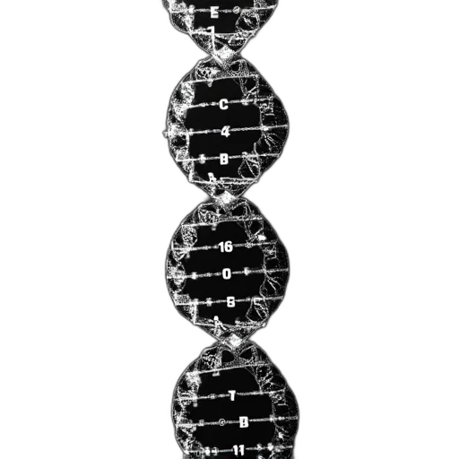 hair, crown, jewelry, robot, black, white, image, dna transparent PNG cut-out