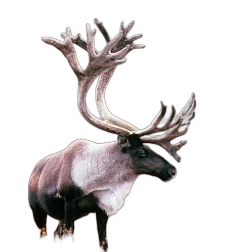 animal, crown, creature, jewelry, concept art, photorealistic, watercolor, 3d render transparent PNG cut-out